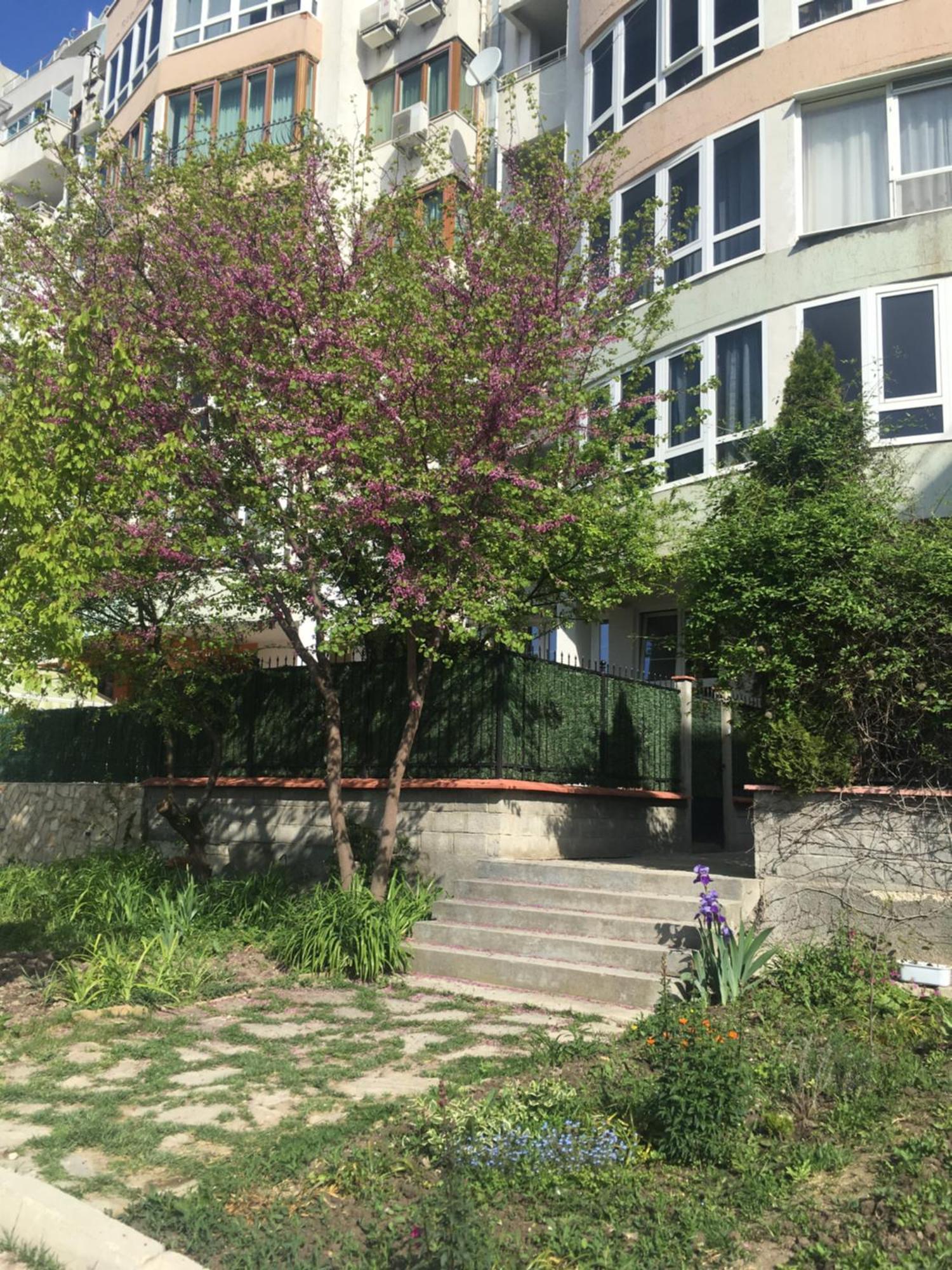 Buongiorno Garden Διαμέρισμα Βάρνα Εξωτερικό φωτογραφία